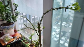 정미리님의 자유주제 · 자유게시판 작성글 사진