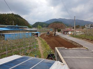 알 수 없음님의 자유주제 · 자유게시판 작성글 사진