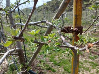 알 수 없음님의 자유주제 · 자유게시판 작성글 사진