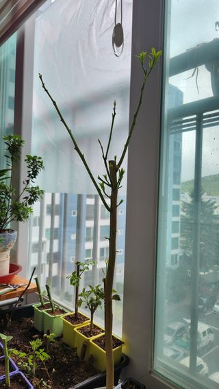 정미리님의 자유주제 · 자유게시판 작성글 사진