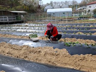 문영식님의 자유주제 · 자유게시판 작성글 사진