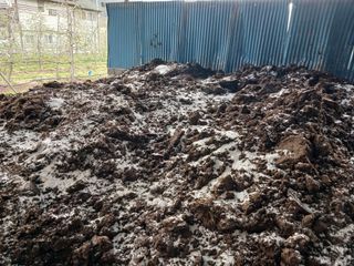 알 수 없음님의 자유주제 · 자유게시판 작성글 사진