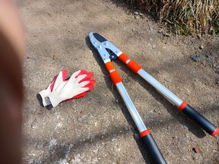 알 수 없음님의 자유주제 · 자유게시판 작성글 사진