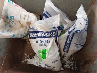 알 수 없음님의 자유주제 · 자유게시판 작성글 사진