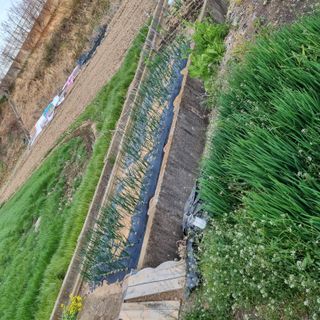 백현호님의 자유주제 · 자유게시판 작성글 사진