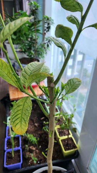 정미리님의 자유주제 · 자유게시판 작성글 사진