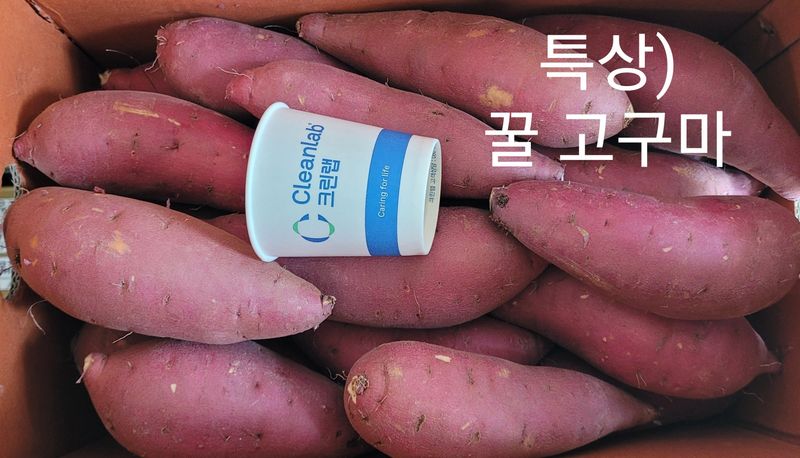 사랑꽃농장님의 장터 판매 상품 [고급진) 못난이 하루까 고구마10kg] 첨부 사진