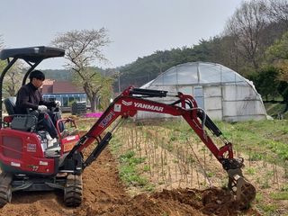 서산팔봉농원님의 자유주제 · 자유게시판 작성글 사진