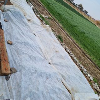 백현호님의 자유주제 · 자유게시판 작성글 사진