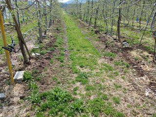 알 수 없음님의 자유주제 · 자유게시판 작성글 사진