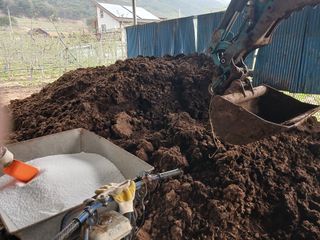 알 수 없음님의 자유주제 · 자유게시판 작성글 사진
