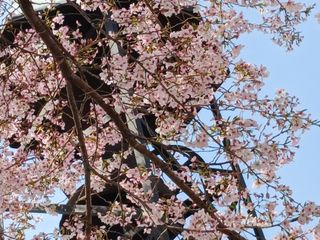 알 수 없음님의 자유주제 · 자유게시판 작성글 사진
