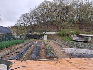 문영식님의 자유주제 · 자유게시판 작성글 사진