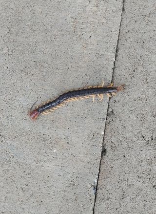 HMH님의 자유주제 · 자유게시판 작성글 사진