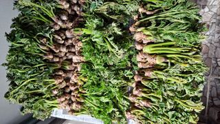 이상헌님의 자유주제 · 자유게시판 작성글 사진