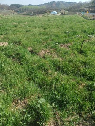 무료지식나눔 팜닥터님의 자유주제 · 자유게시판 작성글 사진