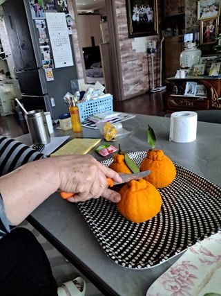 최한기님의 자유주제 · 칭찬해요 작성글 사진