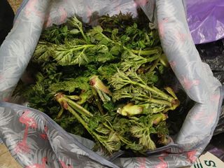 전국하님의 자유주제 · 자유게시판 작성글 사진