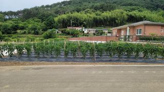 권리를위한투쟁님의 자유주제 · 자유게시판 작성글 사진