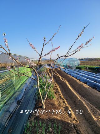 권정회님의 자유주제 · 자유게시판 작성글 사진