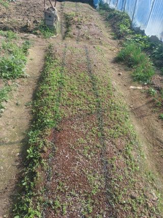 무료지식나눔 팜닥터님의 자유주제 · 자유게시판 작성글 사진