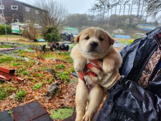 최재원 님의 자유주제 · 자유게시판 작성글 사진