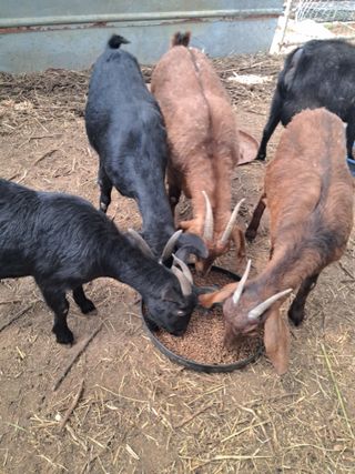김석현님의 자유주제 · 자유게시판 작성글 사진
