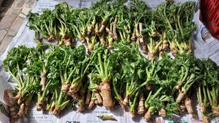 이상헌님의 자유주제 · 자유게시판 작성글 사진