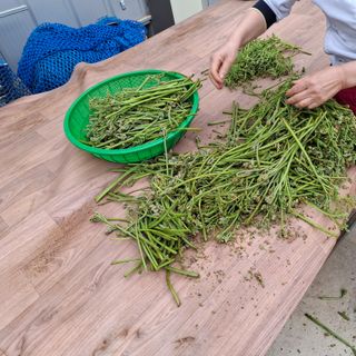 오영도님의 자유주제 · 자유게시판 작성글 사진