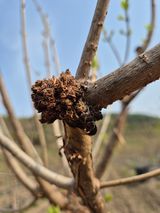 팜모닝 자유주제·자유게시판 게시글 이미지