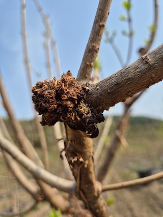 기중권님의 자유주제 · 자유게시판 작성글 사진