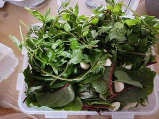 이현상홍길동건강즙님의 자유주제 · 자유게시판 작성글 사진