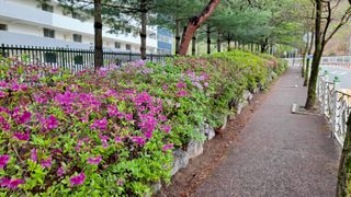 MSG0074님의 자유주제 · 자유게시판 작성글 사진