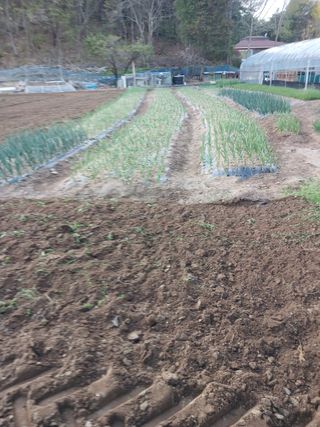 전국하님의 자유주제 · 자유게시판 작성글 사진