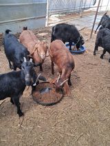 팜모닝 자유주제·자유게시판 게시글 이미지