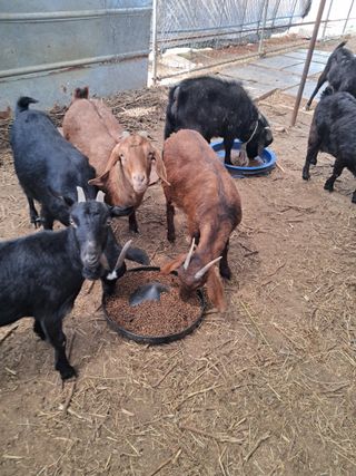 김석현님의 자유주제 · 자유게시판 작성글 사진