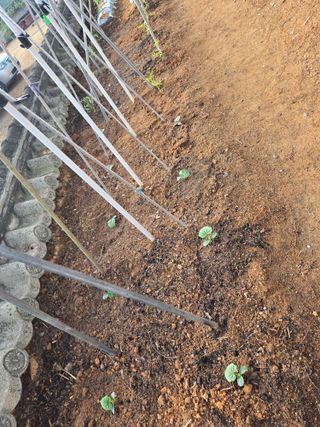 자연인님의 자유주제 · 자유게시판 작성글 사진