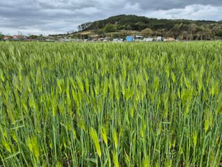 김영진(전남영광)님의 자유주제 · 자유게시판 작성글 사진