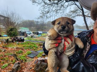 최재원 님의 자유주제 · 자유게시판 작성글 사진