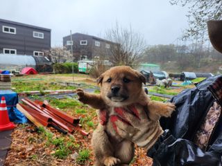 최재원 님의 자유주제 · 자유게시판 작성글 사진