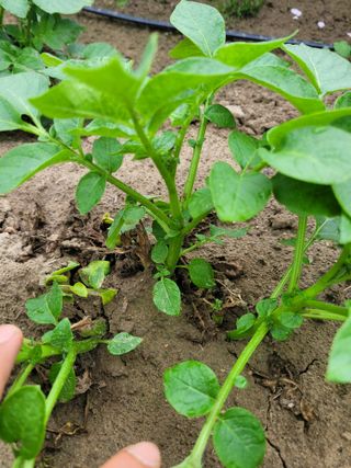 임한혁님의 자유주제 · 자유게시판 작성글 사진