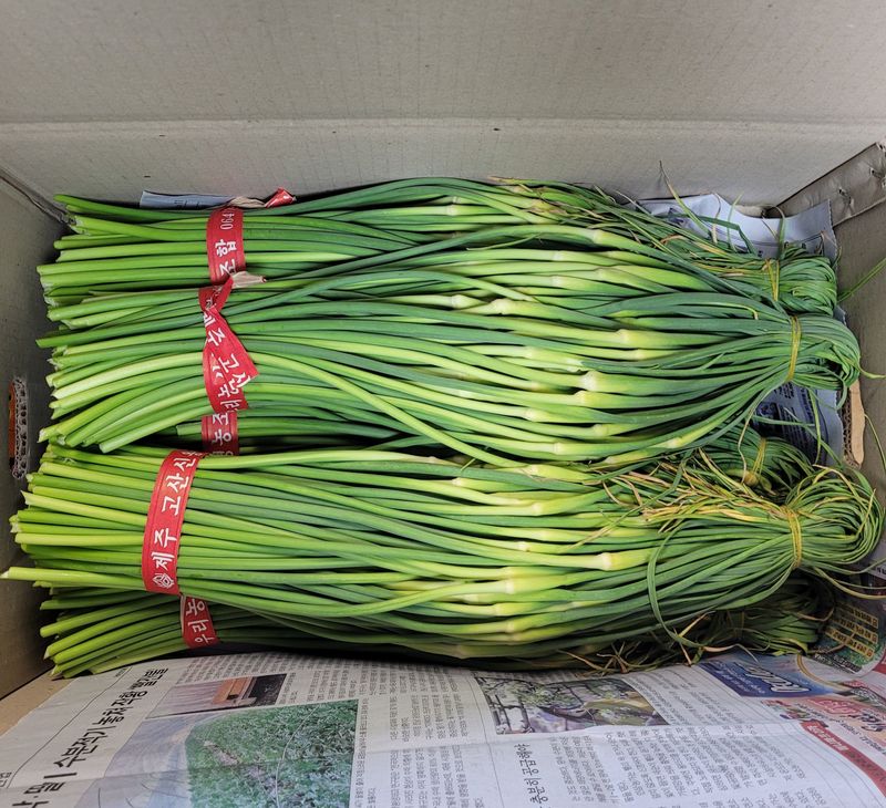 장터 상품 [제주도 햇마늘쫑 5kg] 썸네일