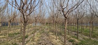 기중권님의 자유주제 · 자유게시판 작성글 사진