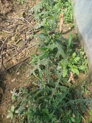 무료지식나눔 팜닥터님의 자유주제 · 자유게시판 작성글 사진