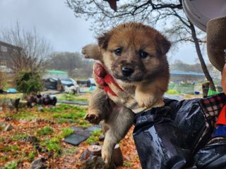 최재원 님의 자유주제 · 자유게시판 작성글 사진