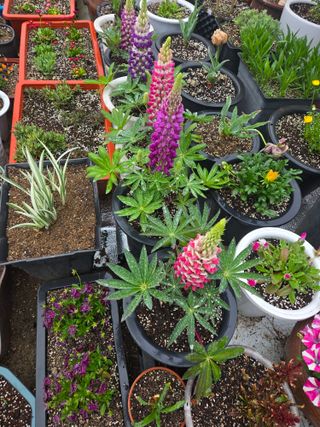 자연인님의 자유주제 · 자유게시판 작성글 사진