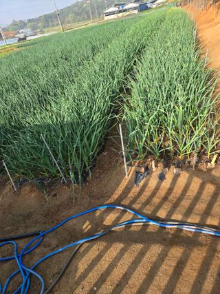 자연인님의 자유주제 · 자유게시판 작성글 사진