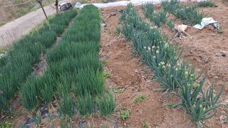 MSG0074님의 자유주제 · 자유게시판 작성글 사진