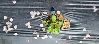 정진해님의 자유주제 · 자유게시판 작성글 사진