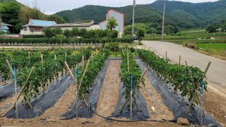 권리를위한투쟁님의 자유주제 · 자유게시판 작성글 사진